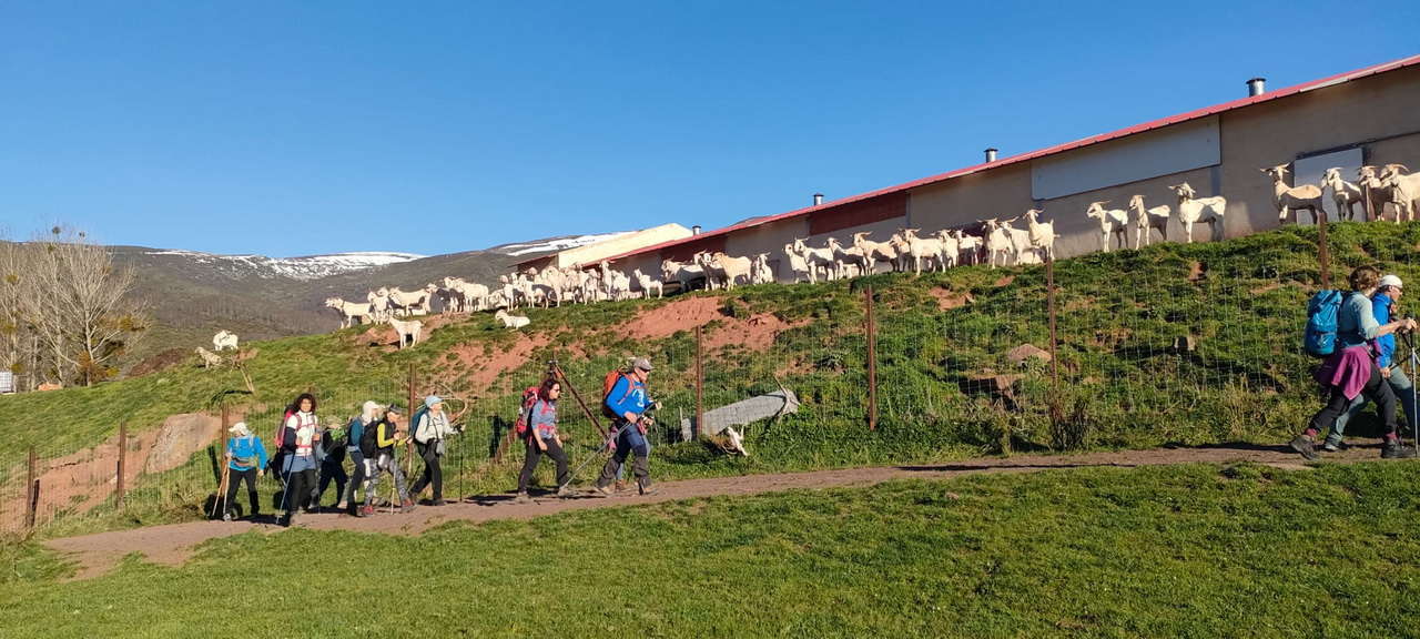 WhatsApp Image 2026-04-08 at 07.40.50 (3)